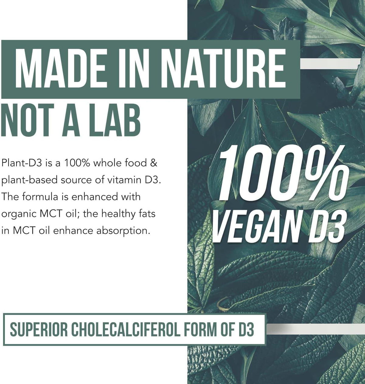 Plant-D3 Organic Vitamin D3 5000 IU - Vegan Sublingual Liquid Drops (30 ml) - görsel 4