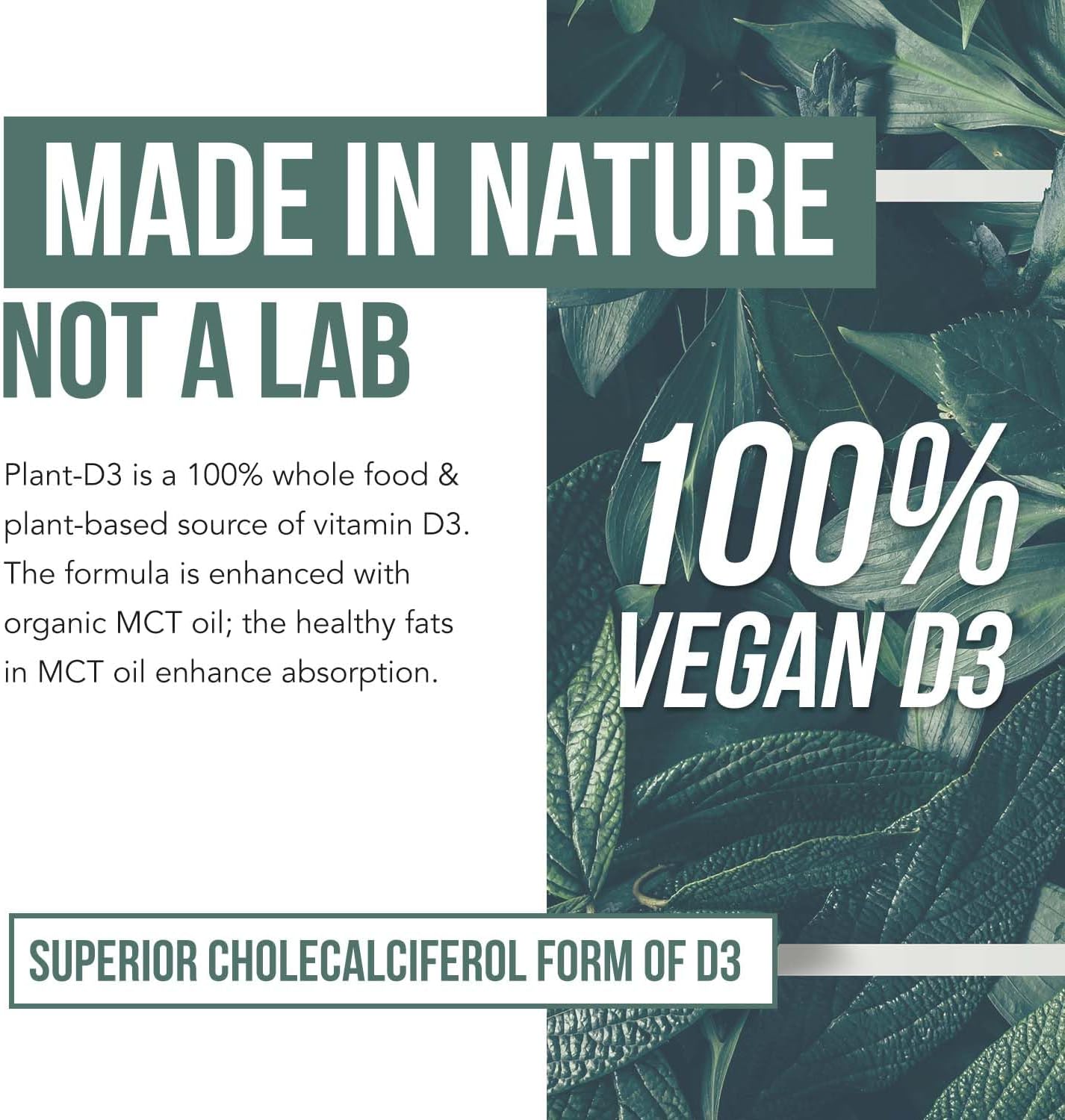Organic Vitamin D3 10,000 IU – Vegan Drops, Plant-Based - görsel 4