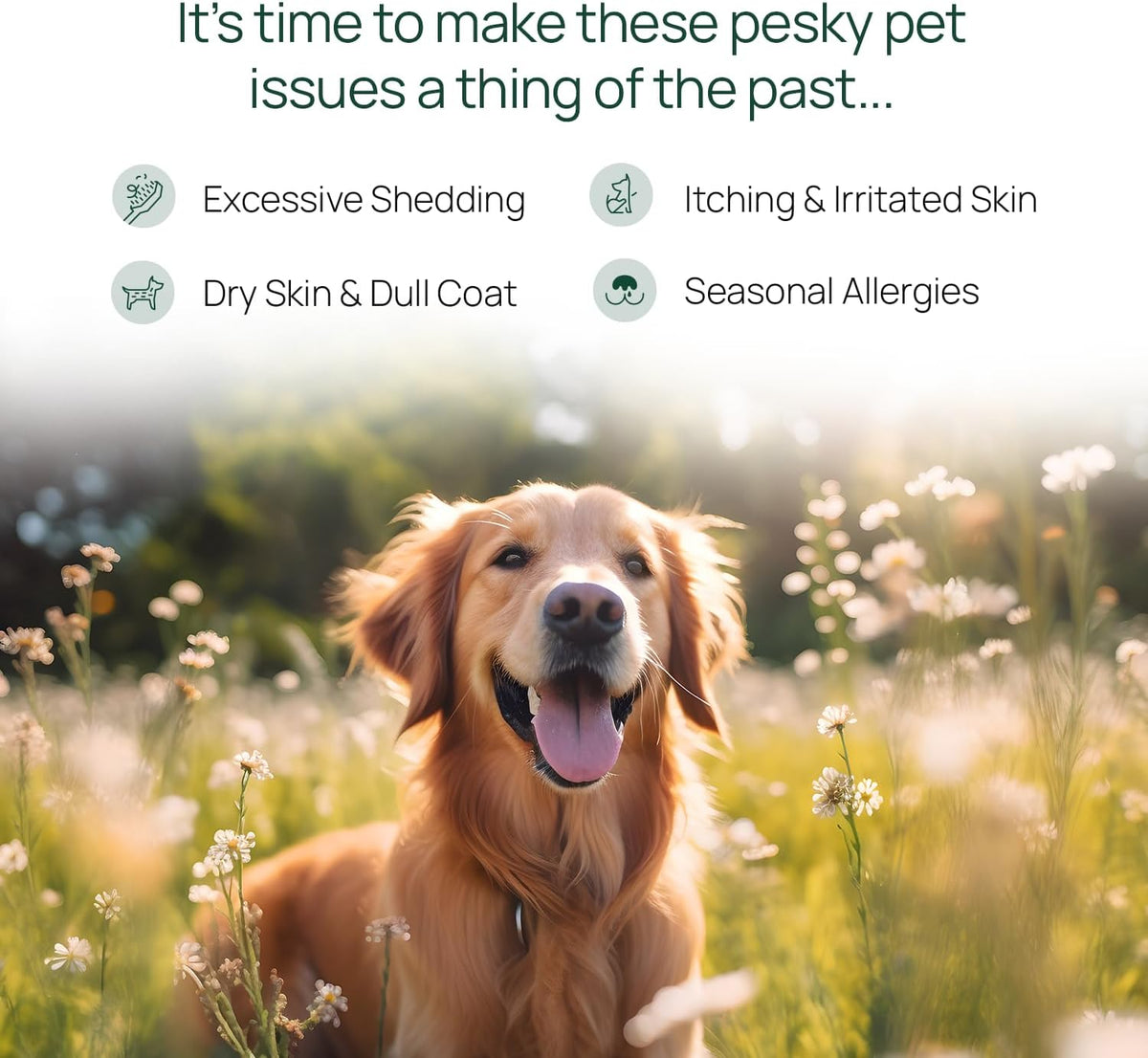 pawTree Salmon Oil for Dogs and Cats – Omega-3 & Omega-6 Supplement - görsel 2
