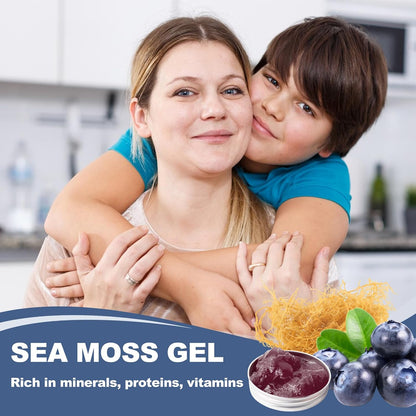 SumDIP Sea Moss Gel, Blueberry, 525g - Raw Irish Seamoss for Immune & Digestive Support