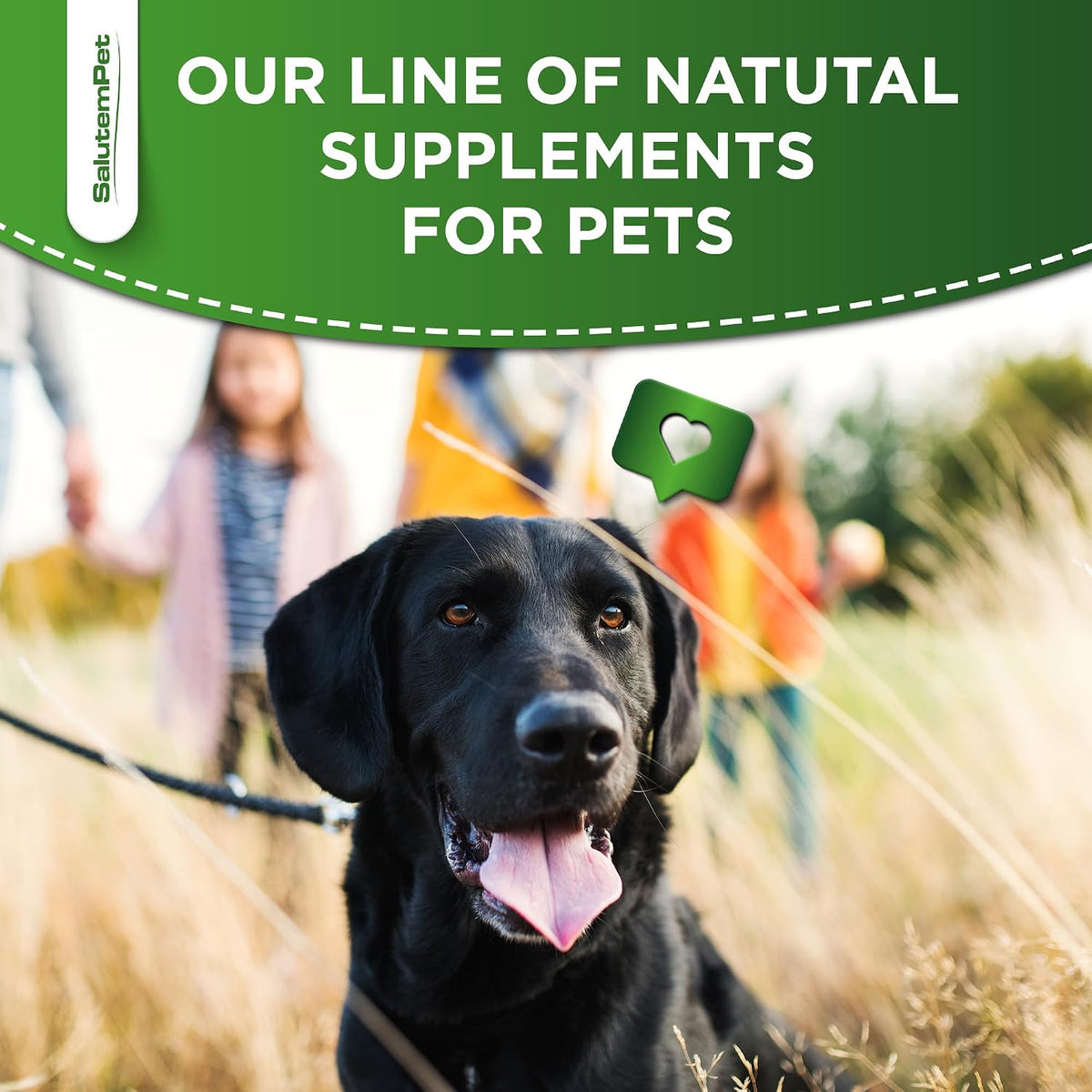 Dog Antibiotics Forte Health – Herbal Supplement for Dogs and Cats - görsel 9