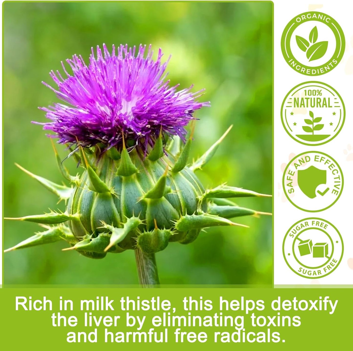ALIVO Milk Thistle for Dogs - 180 Chewable Tablets - görsel 3