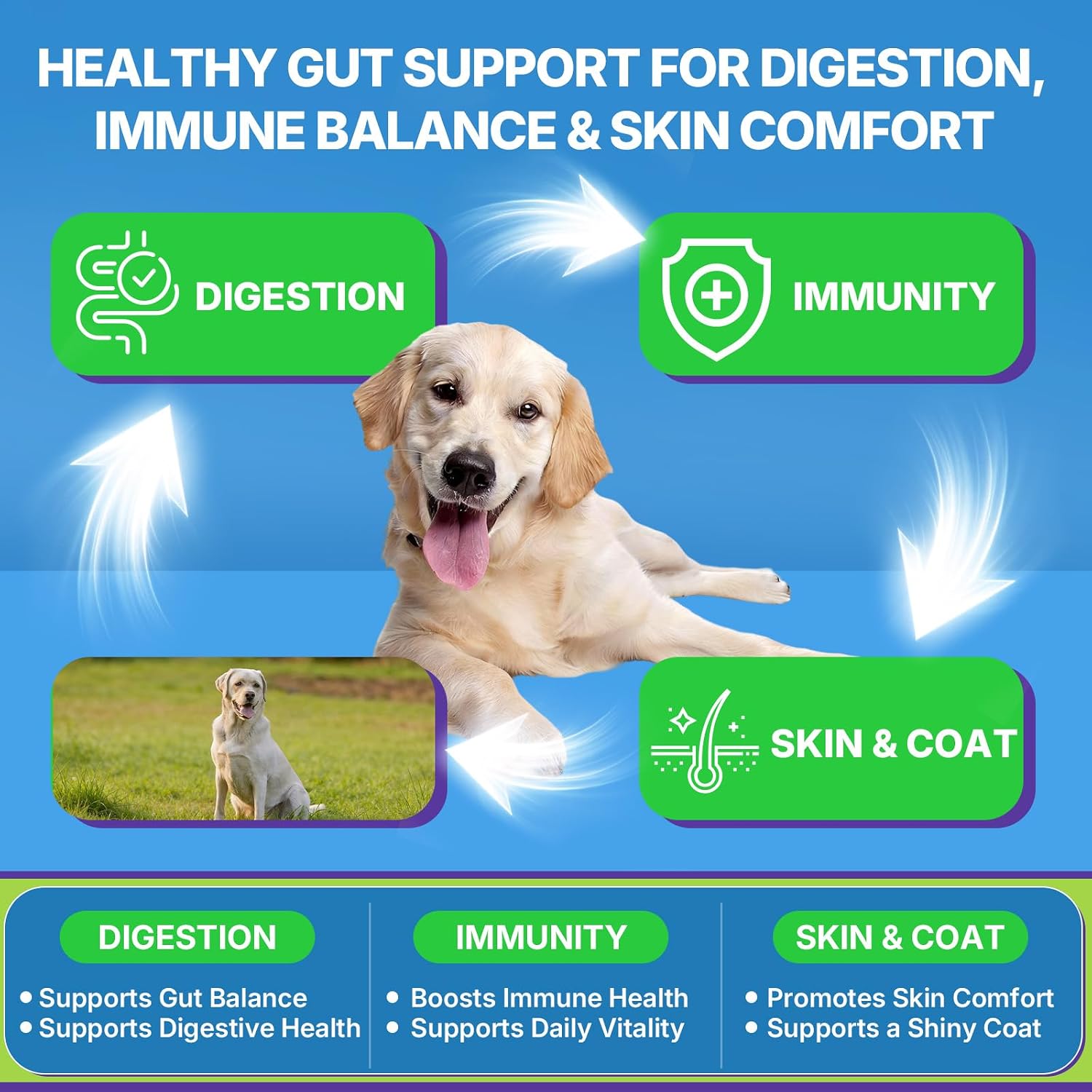 WEALLIN Probiotics for Dogs - 200 Soft Chews for Digestive Health, Itchy Skin Relief & Immune Support - görsel 5