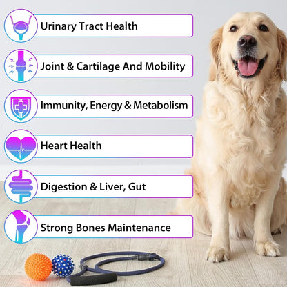 15-in-1 Dog Multivitamin Liquid - All-in-One Supplement for Digestive, Skin, Coat, Hip & Joint Support (60 ml)
