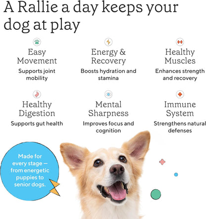 Rallie Beef Flavoured Hydrogen Water for Dogs with Electrolytes, Glucosamine, and B Vitamins – 500ml (6 Pack)