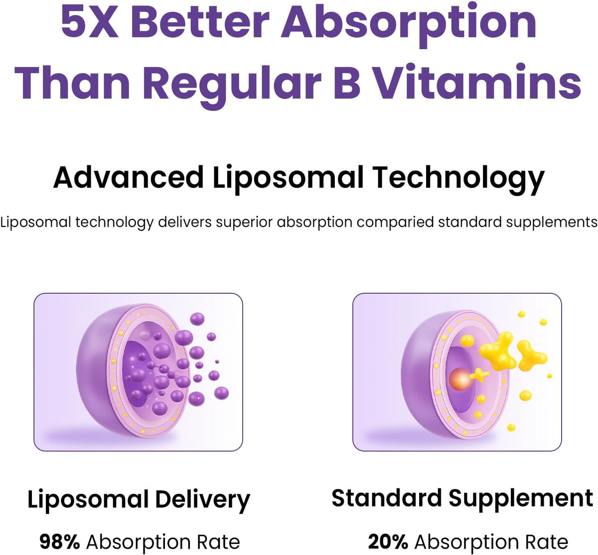 Franguly Liposomal B Complex - All B Vitamins, Methylated B12, Liquid Drops, 60 ml - görsel 3