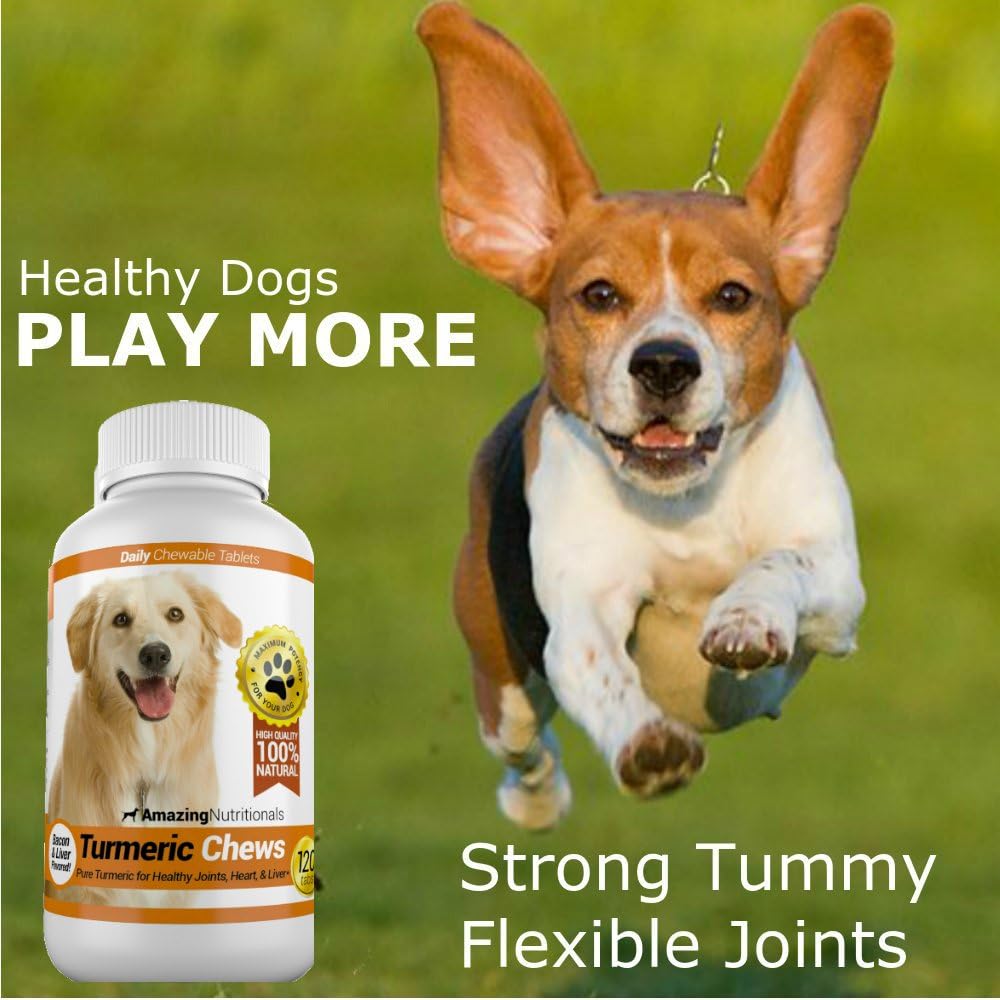 Amazing Turmeric for Dogs Curcumin Pet Antioxidant, 120 Chews - görsel 4