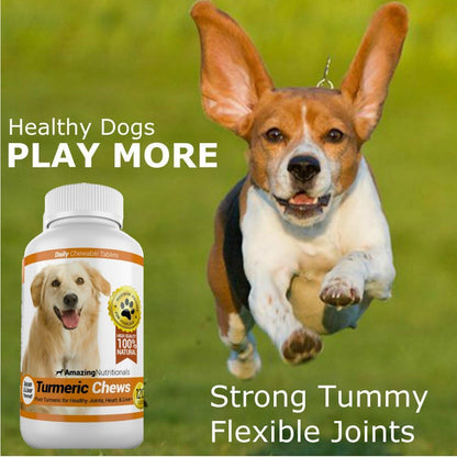Amazing Turmeric for Dogs Curcumin Pet Antioxidant, 120 Chews
