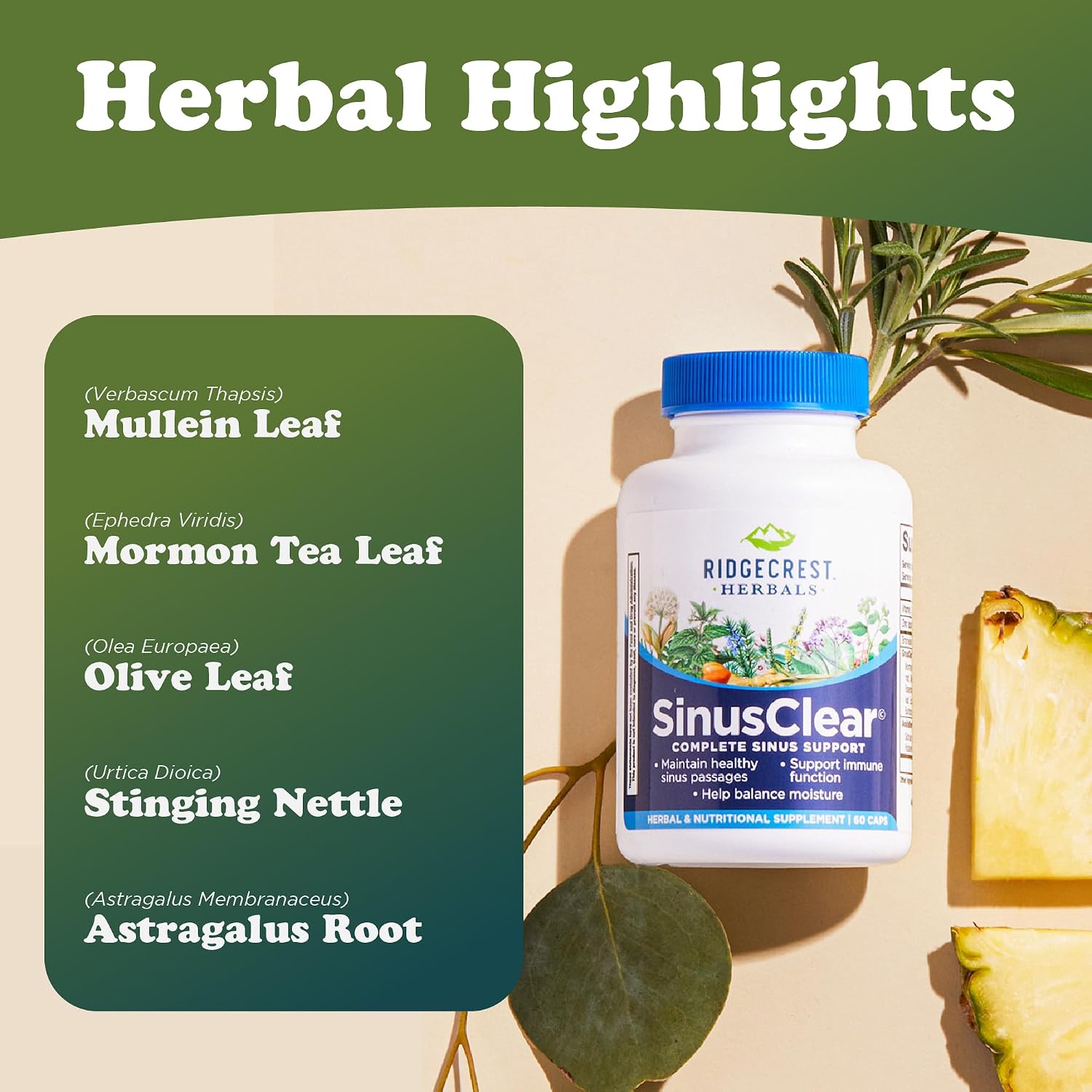 RidgeCrest Herbals SinusClear – Natural Sinus & Respiratory Support with Mullein, Bromelain, Vitamin C, and Zinc (60 Veg Caps) - görsel 5