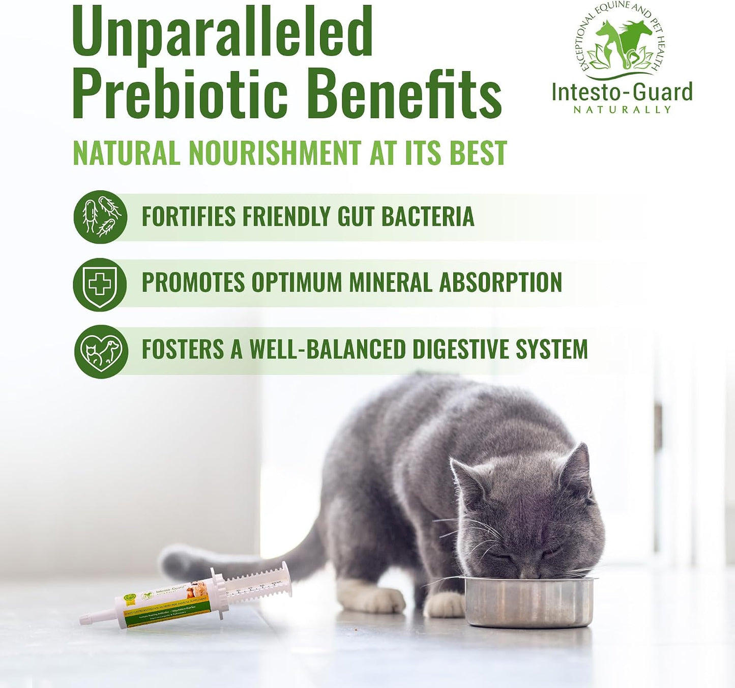 Probiotic Paste for Dogs – Prebiotic Gut Support & Immune Boost, All Natural, 60ml - görsel 3