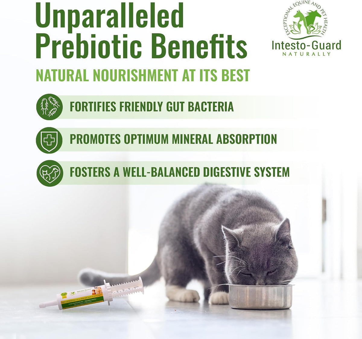 Probiotic Paste for Dogs – Prebiotic Gut Support & Immune Boost, All Natural, 60ml - görsel 3