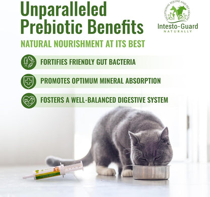 Probiotic Paste for Dogs – Prebiotic Gut Support & Immune Boost, All Natural, 60ml