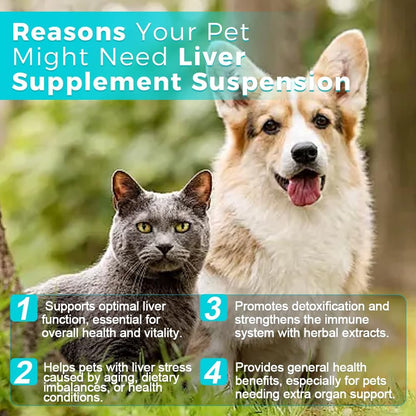 Pets Herbal Liver Support Suspension for Cats & Dogs - 30ml | Supports Detox, Vitality & Immune Health | Easy to Administer Liquid Formula | Supports Digestive Function