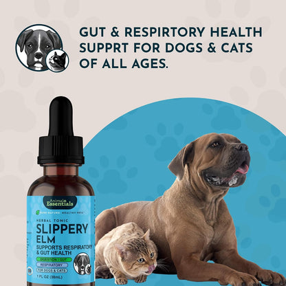 Animal Essentials Organic Slippery Elm Bark Liquid Extract for Dogs and Cats - Digestive and Throat Support - 60 ml
