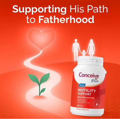 CONCEIVE PLUS Motility Support for Men | Spermidine Supplements with Vitamin D, E, Zinc, Antioxidants | Male Fertility Multivitamin, 60 Capsules