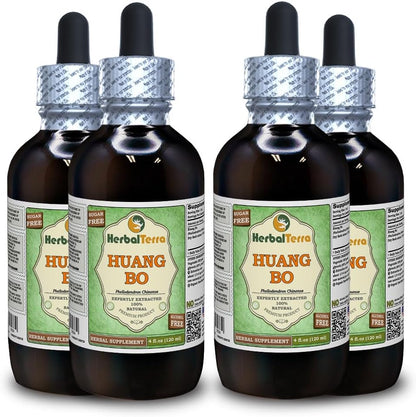 Huang Bo (Phellodendron Chinense) Glycerite, Alcohol-Free Liquid Extract, 4x120 ml