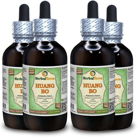 Huang Bo (Phellodendron Chinense) Glycerite, Alcohol-Free Liquid Extract, 4x120 ml