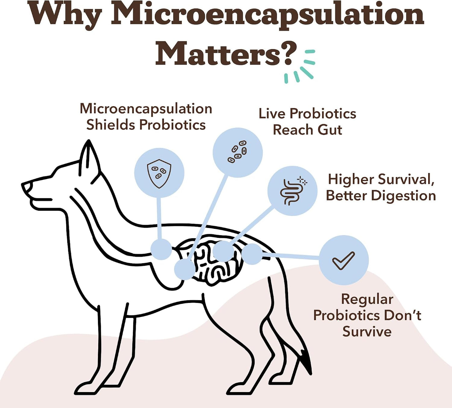 Natural Dog Company Probiotics for Dogs – Dog Probiotic Chews with 1B CFU, Canine-Specific Microencapsulated Strains, Prebiotics & Enzymes for Digestive Health, Stool Quality & Immune Support, 45 Chews - görsel 4