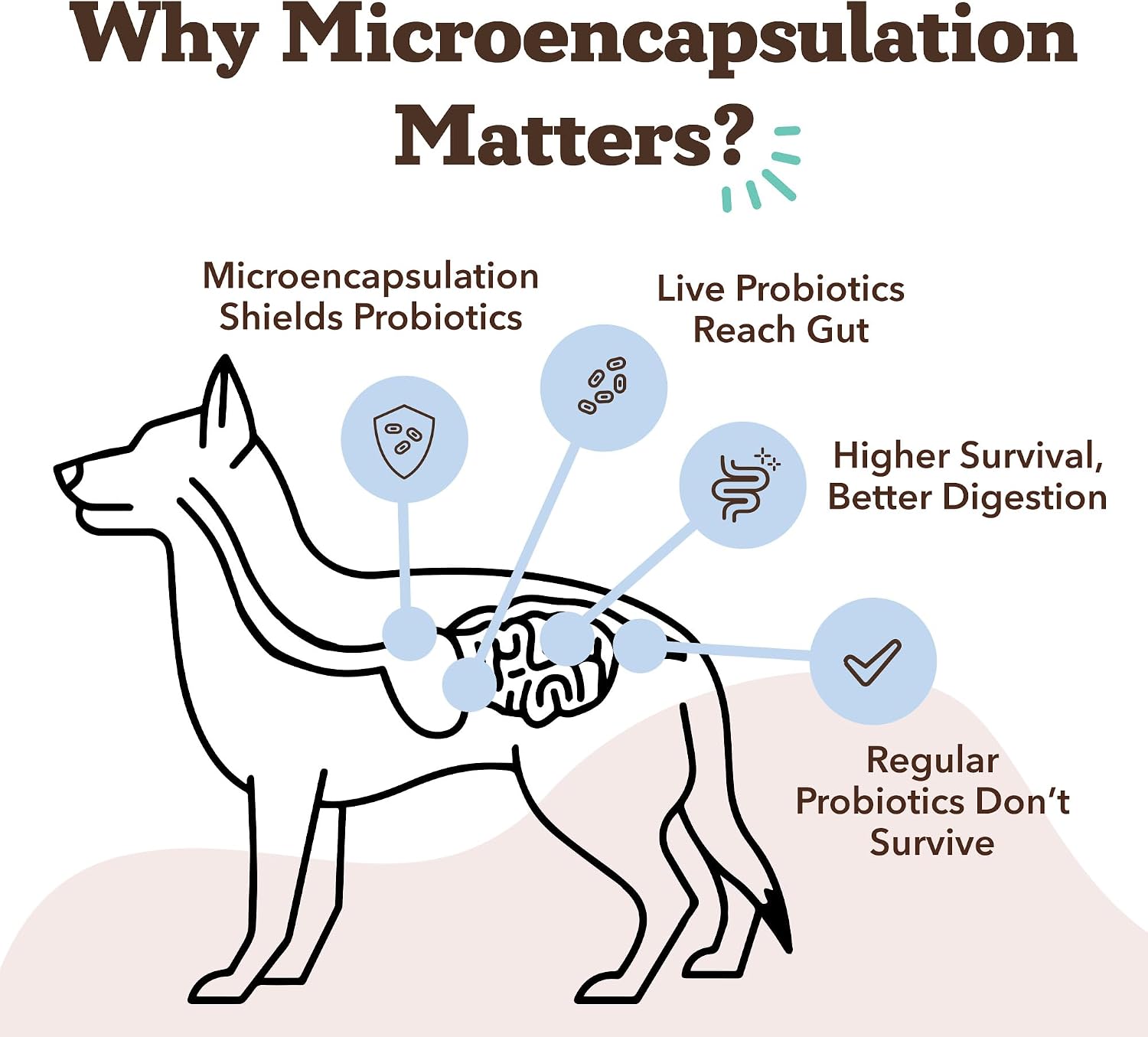 Natural Dog Company Probiotics for Dogs – Dog Probiotic Chews with 1B CFU, Canine-Specific Microencapsulated Strains, Prebiotics & Enzymes for Digestive Health, Stool Quality & Immune Support, 45 Chews - görsel 4