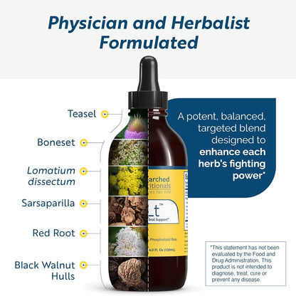 Researched Nutritionals BLT – Advanced Herbal Support Tincture with Black Walnut Hull, Boneset, Sarsaparilla & Lomatium (4 fl oz / 120 ml)
