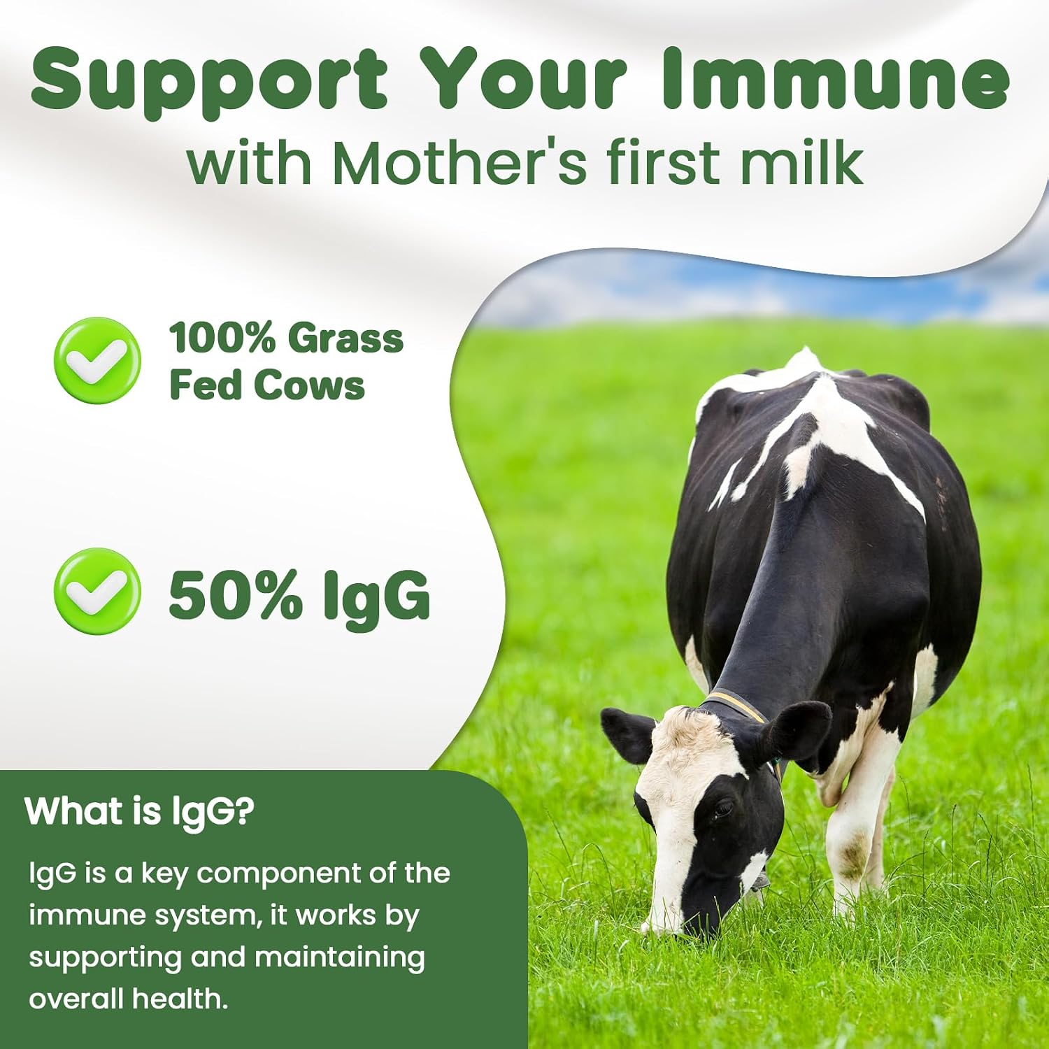 Bovine Colostrum Supplement Powder 50% IgG – Grass Fed, Non-GMO, Unflavoured (60 Servings) - görsel 6