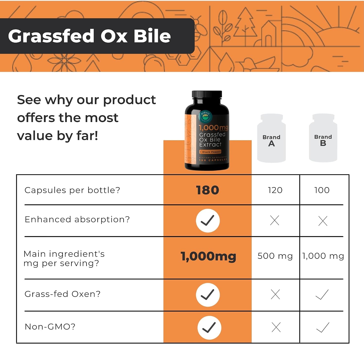 Eleva Nutrition Grass-Fed Ox Bile 1000mg – Digestive Support Supplement (180 Capsules) - görsel 4