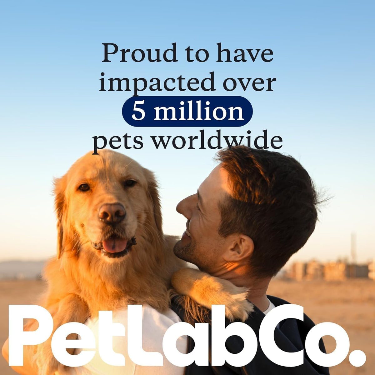 PetLab Co. 22 in 1 Dog Multivitamin - Support Dog's Immune Response, Skin, Coat, Joints & Overall Health - Vitamins A, E, D, B12, Minerals, Antioxidants - Chewable Pork Flavour - görsel 7
