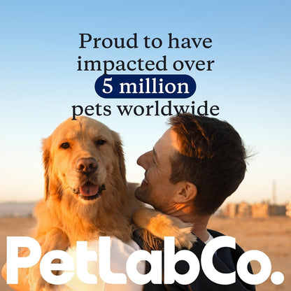 PetLab Co. 22 in 1 Dog Multivitamin - Support Dog's Immune Response, Skin, Coat, Joints & Overall Health - Vitamins A, E, D, B12, Minerals, Antioxidants - Chewable Pork Flavour