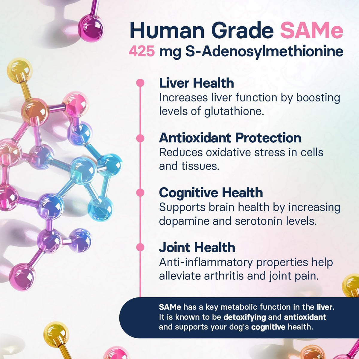Liver Health Supplement for Large Dogs – Milk Thistle for Dogs Liver Support with S-Adenosylmethionine (SAMe) & Silybin – 30 Tablets - görsel 5