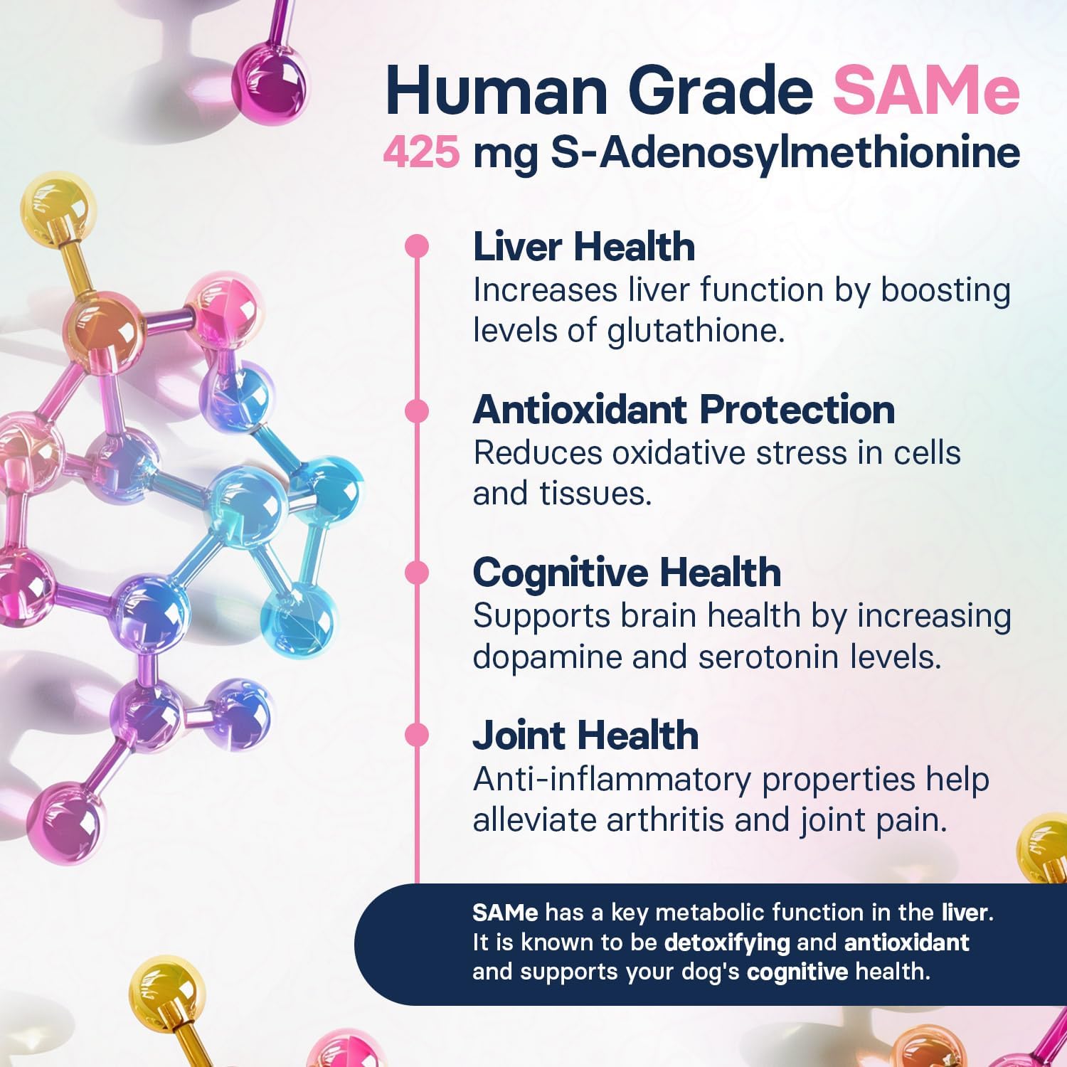 Liver Health Supplement for Large Dogs – Milk Thistle for Dogs Liver Support with S-Adenosylmethionine (SAMe) & Silybin – 30 Tablets - görsel 5