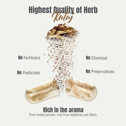 Herbsforever Kutaja Capsules - Holarrhena Antidysenterica Digestive Care - 45 Vegetable Capsules, 800 mg Each