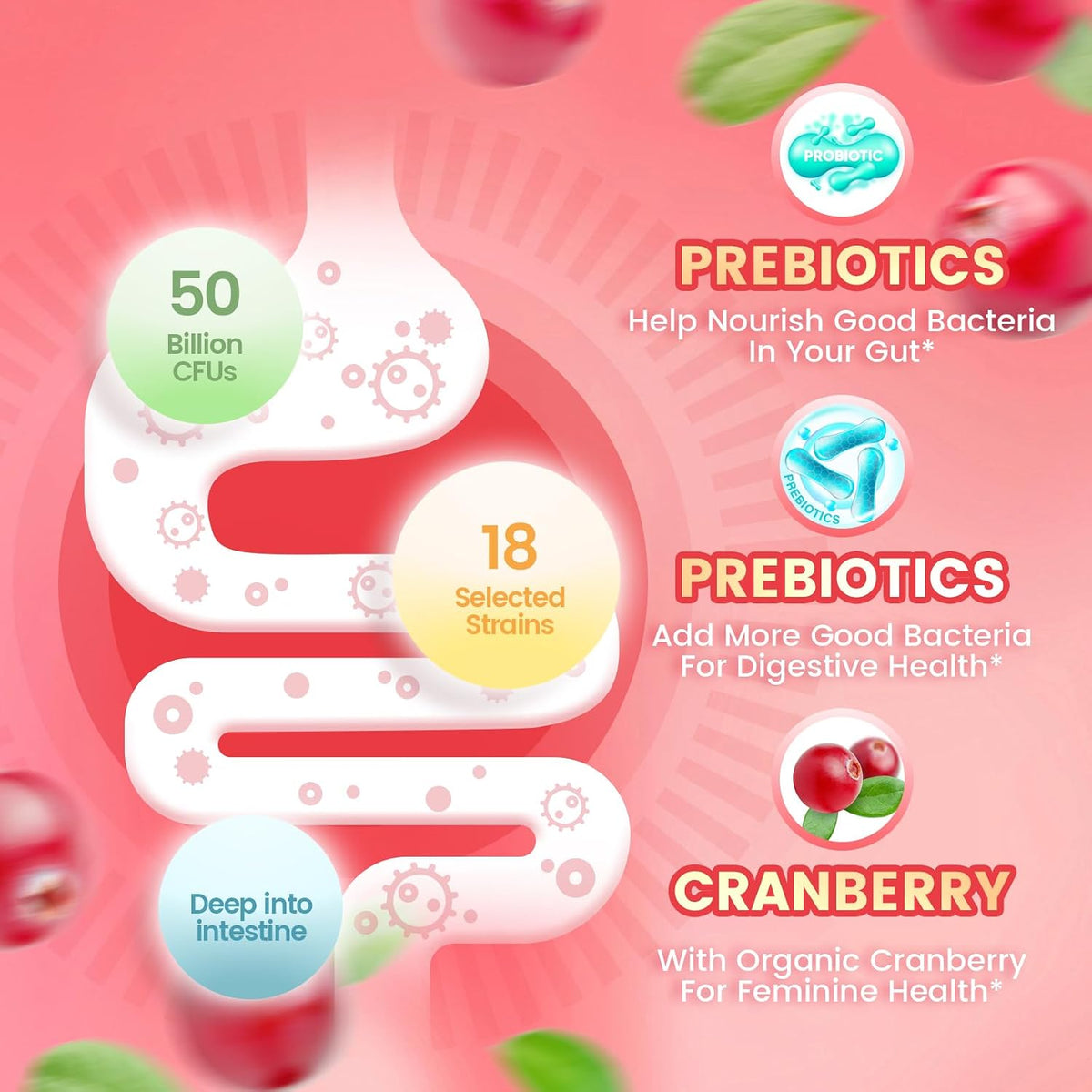VivoNu Women's Probiotic Gummies - Feminine Balance Support with Cranberry, 60 Count - görsel 3