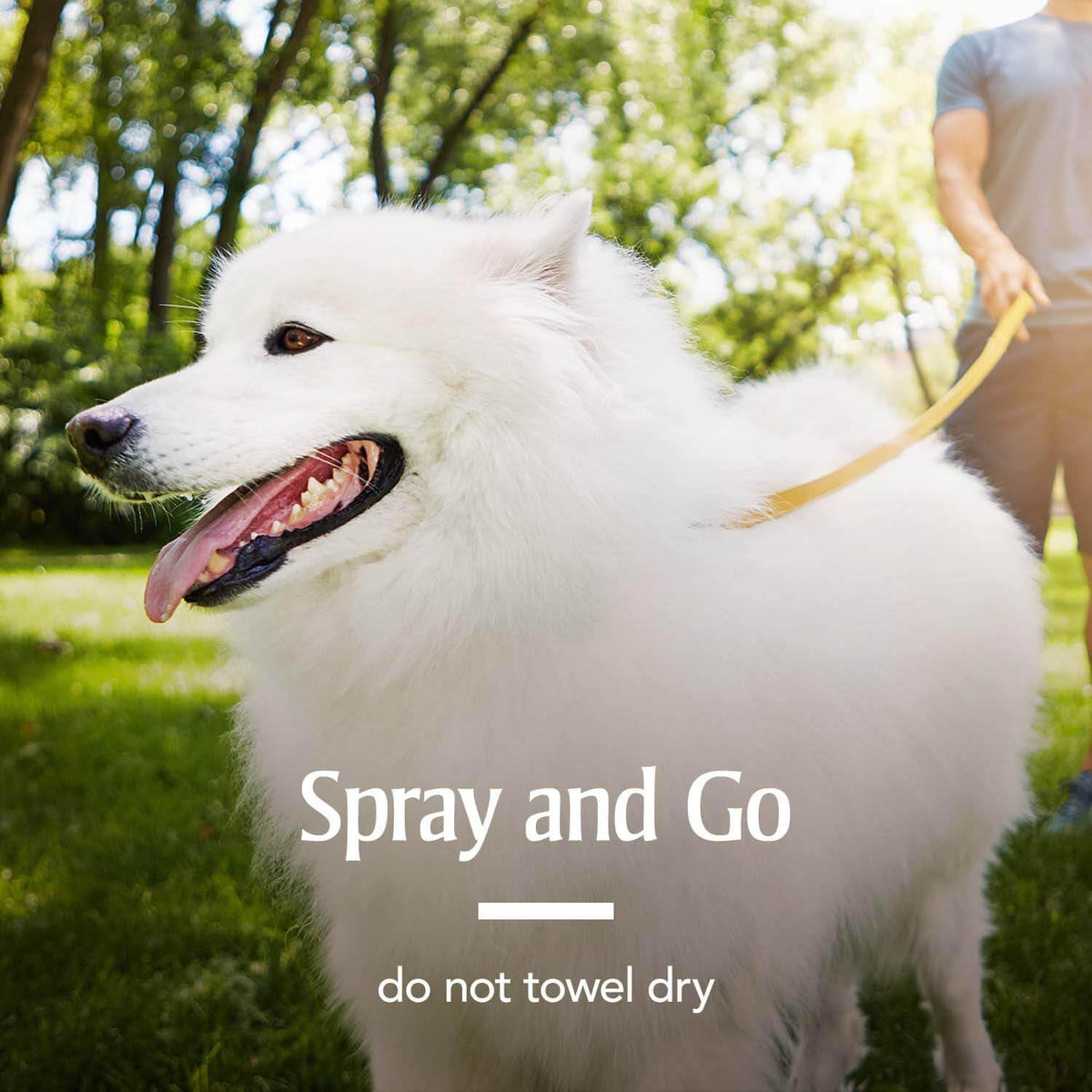 PetArmor Fastact Plus Flea and Tick Spray for Dogs and Cats - görsel 5