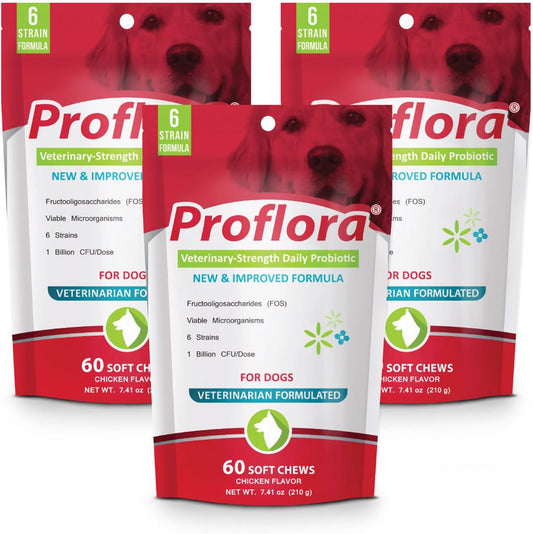 Proflora Probiotic Soft Chews for Dogs - Veterinary-Strength Daily Probiotic - Digestive Health - Support Immune System - Skin and Coat Health - 180 Soft Chews