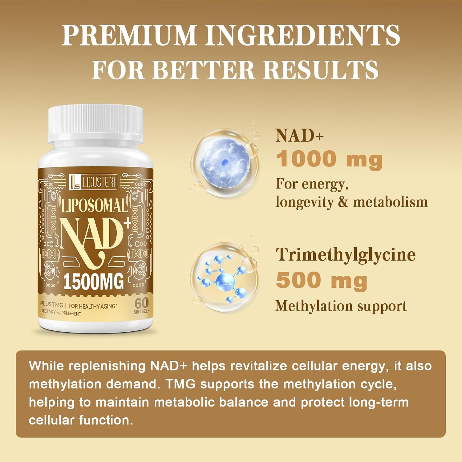 LIGUSTERI 1500 mg Liposomal NAD+ with TMG, 98%+ Absorption, 60 Softgels - görsel 4