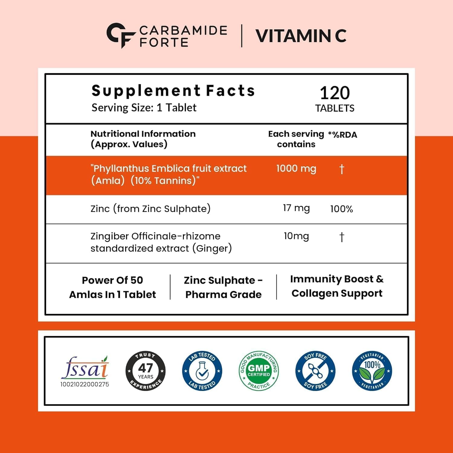 Natural Vitamin C Amla Extract with Zinc - 120 Vegan Tablets - görsel 2