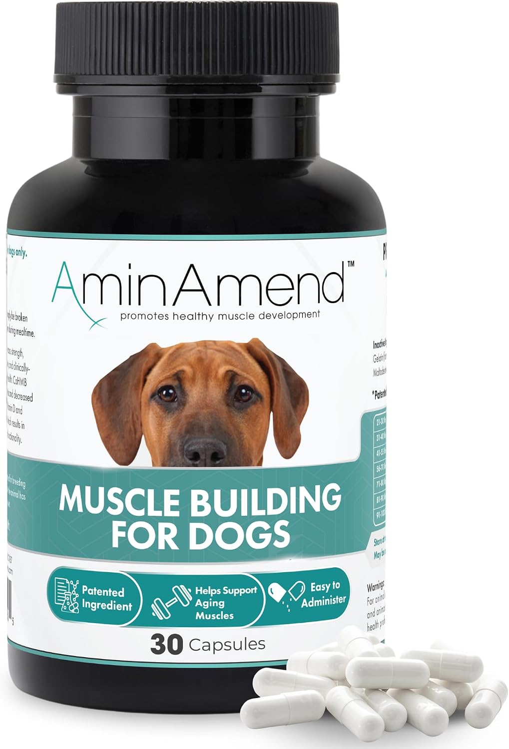 AminAmend Dog Muscle Supplement for Large Breeds – CaHMB & Vitamin D3 (30 Capsules) – Image 1