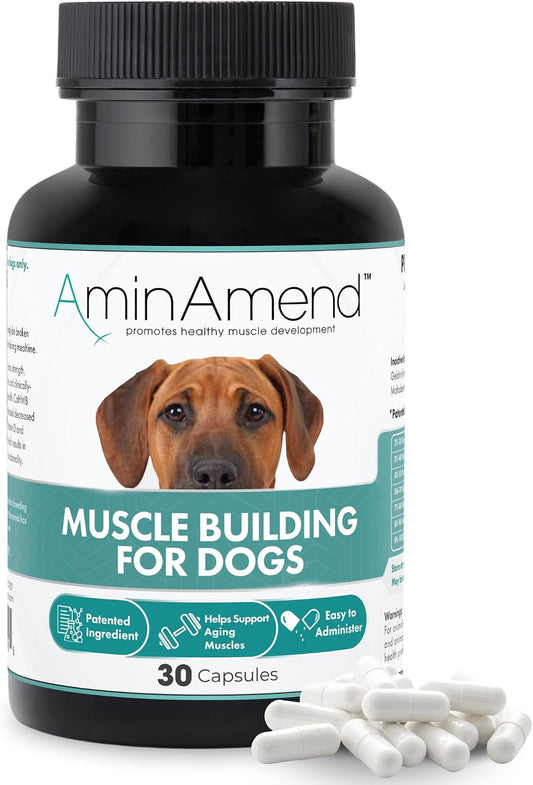 AminAmend Dog Muscle Supplement for Large Breeds – CaHMB & Vitamin D3 (30 Capsules)