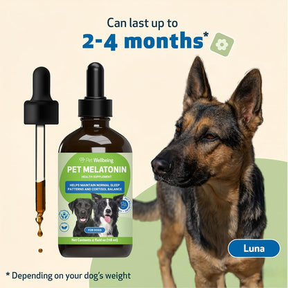 Pet Wellbeing Pet Melatonin for Dogs – Veterinary-Formulated Sleep Support, 118 ml