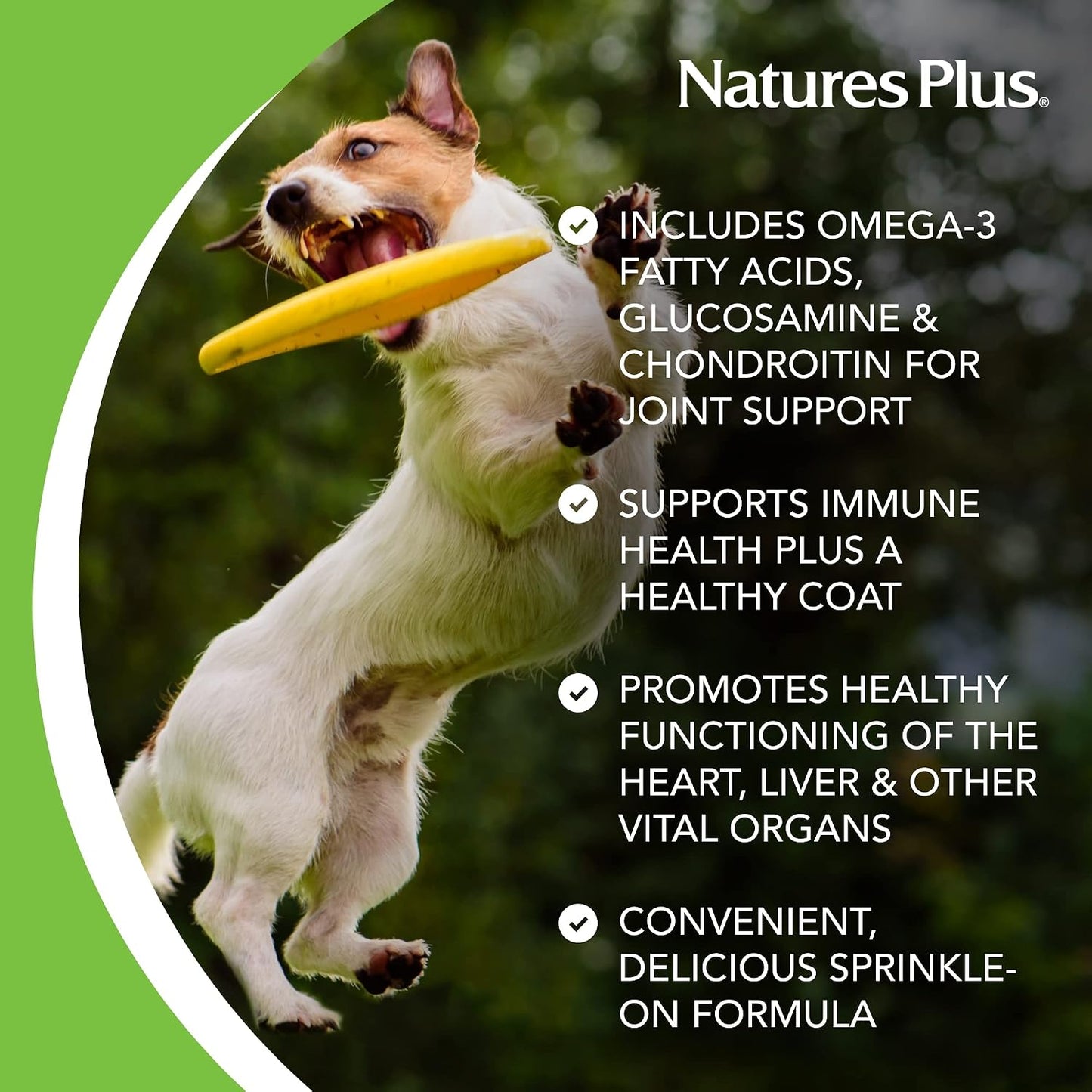 NaturesPlus FurBaby Multivitamin for Dogs - 295 g (60 Servings) - görsel 3