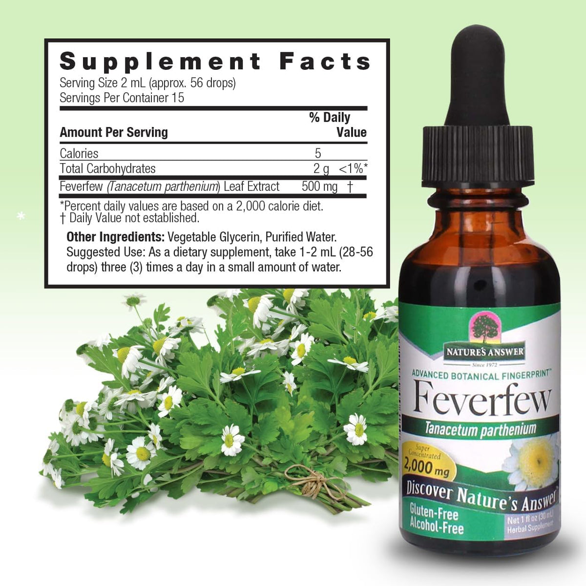Nature's Answer Alcohol-Free Feverfew Extract 2000mg, 1 oz - görsel 3