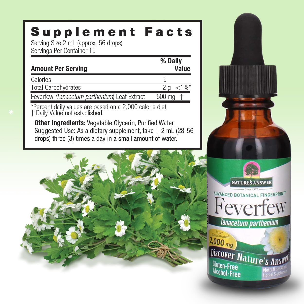 Nature's Answer Alcohol-Free Feverfew Extract 2000mg, 1 oz - görsel 3