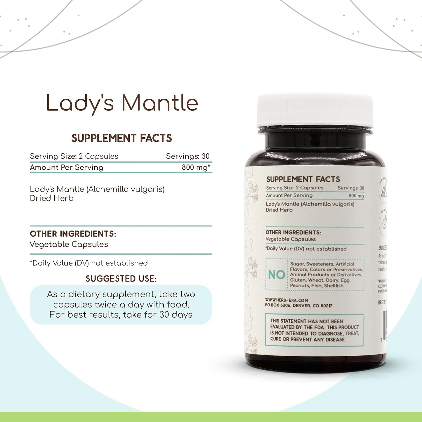 Lady's Mantle 60 Capsules, 400 mg – HerbEra - görsel 2