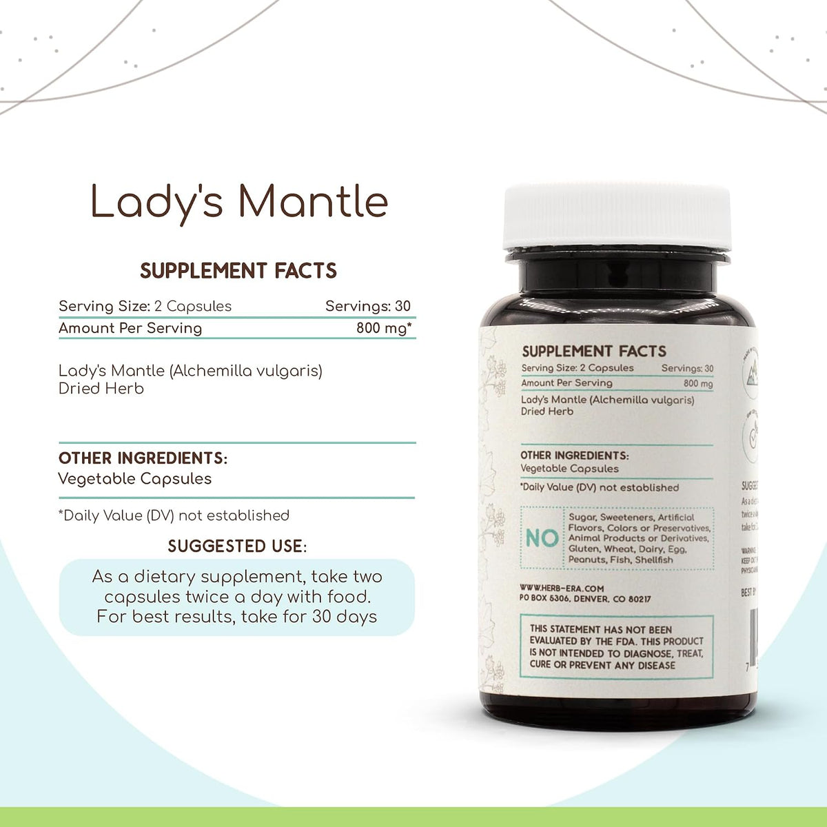 Lady's Mantle 60 Capsules, 400 mg – HerbEra - görsel 2