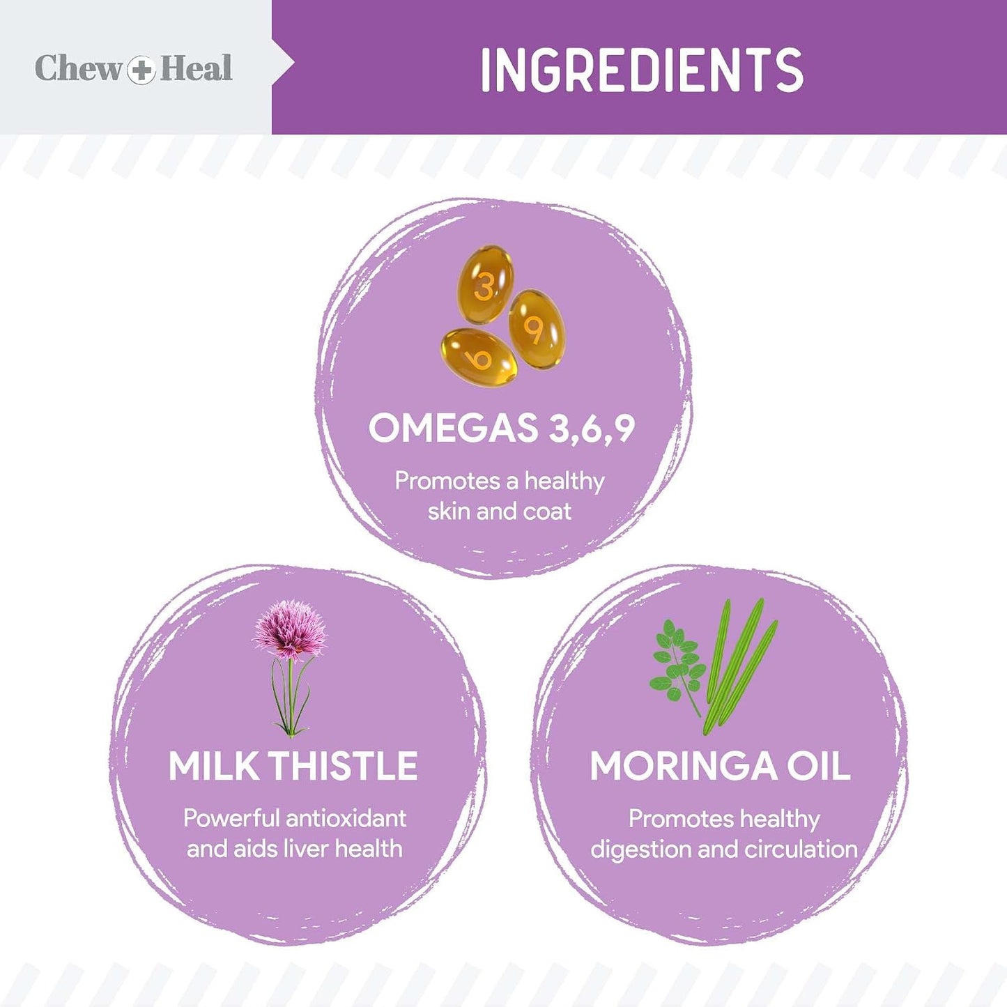 Milk Thistle for Dogs Liver Support - 60 ml Liquid Milk Thistle Supplement with Wild Alaskan Salmon Oil and Moringa Oil - Made in the USA - görsel 3