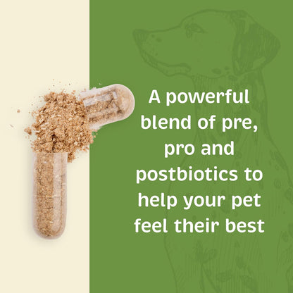 Spirited Paw Probiotic + Gut Health - Digestive & Immune Support for Dogs & Cats - Prebiotic, Probiotic & Postbiotic Pet Care Blend with Organic Buckwheat & Chicory Root Fibre - 90 Capsules