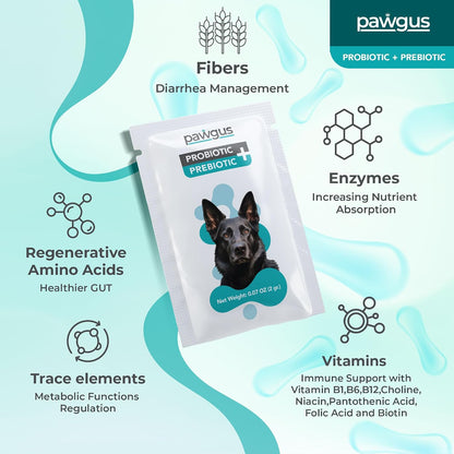Ultimate Prebiotic and Probiotic Combo for Dogs – 30 Sachets – 7 Billion CFU