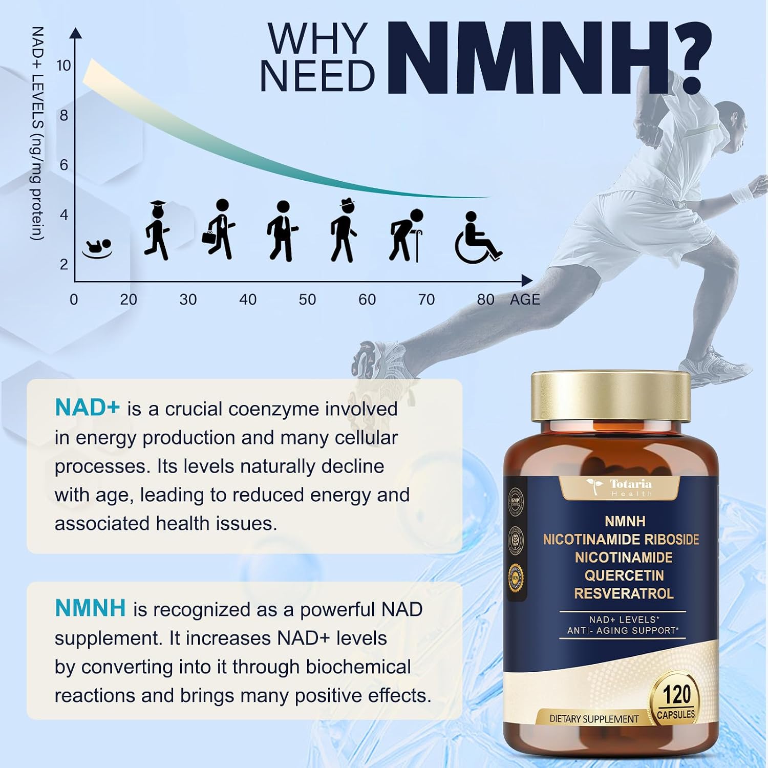 Totaria NMNH Supplement with Niacinamide, Quercetin & Trans-Resveratrol - 240 Capsules - görsel 7