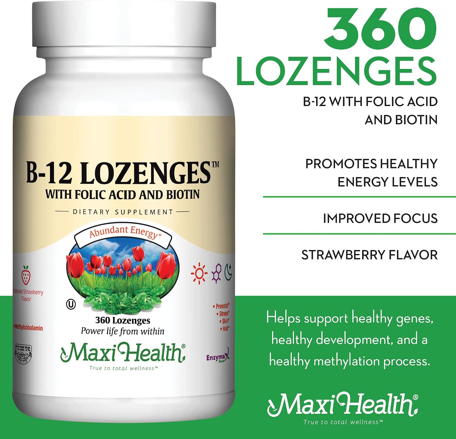 Vitamin B12 Lozenges with Folic Acid and Biotin - Sublingual Strawberry Flavour - 360 Lozenges - görsel 3