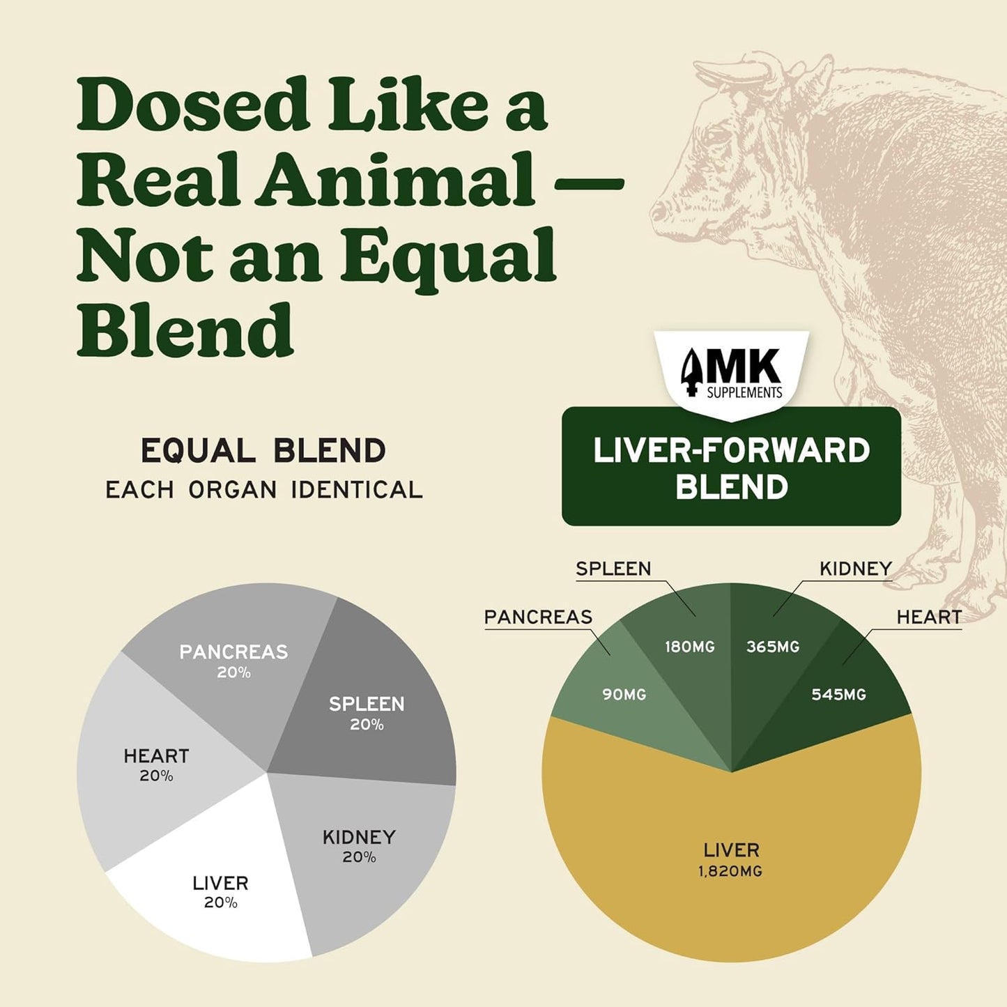 MK Supplements Grass-Fed Beef Organs Capsules | 5 Organs in Nature-Identical Ratios | B12, Copper & Haem Iron | Regeneratively Reared | 150 Capsules - görsel 3